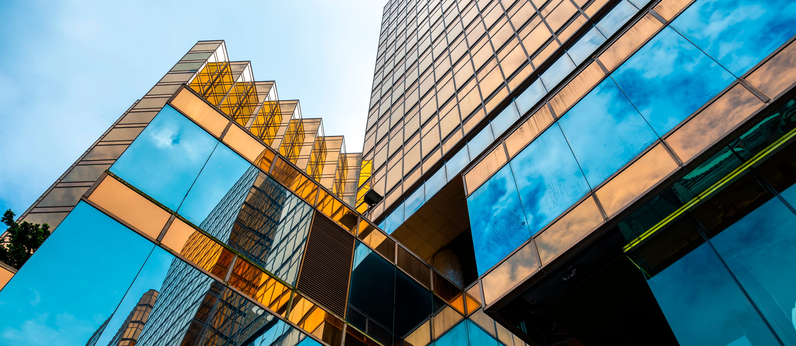 vouga_banner-x105-min